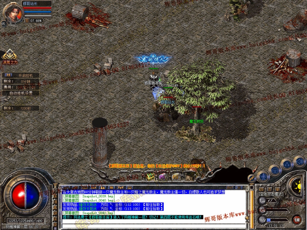 00043.jpg